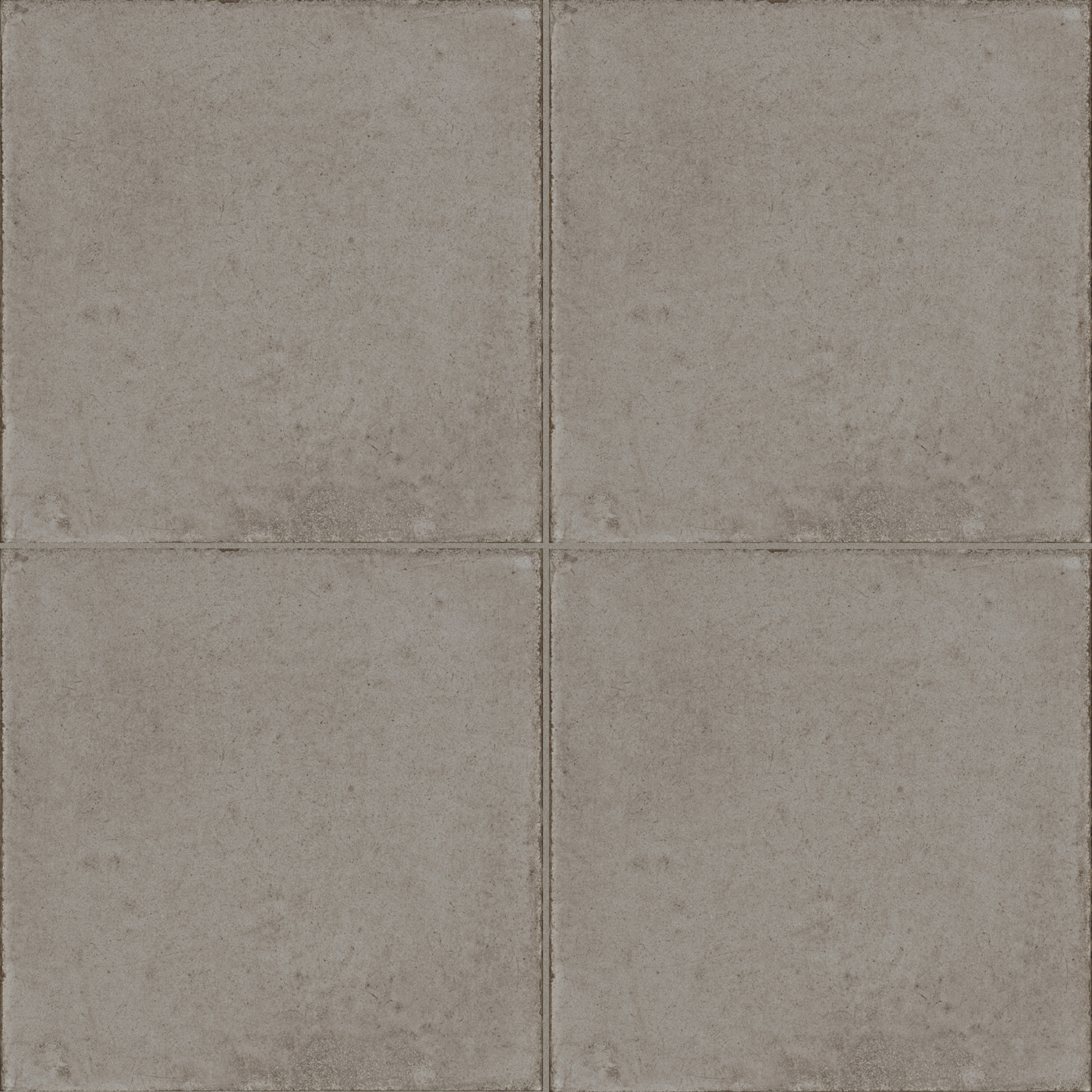 ragno ottocento rkmr.jpg