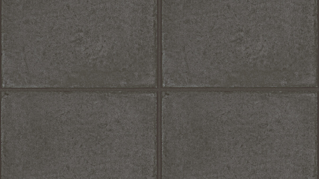 ragno ottocento rkms.jpg