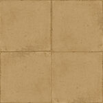 ragno ottocento rkmu.jpg