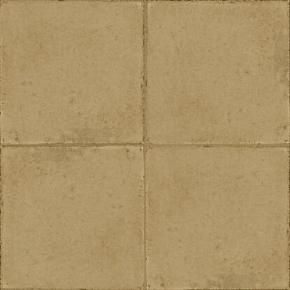 ragno ottocento rkmu.jpg