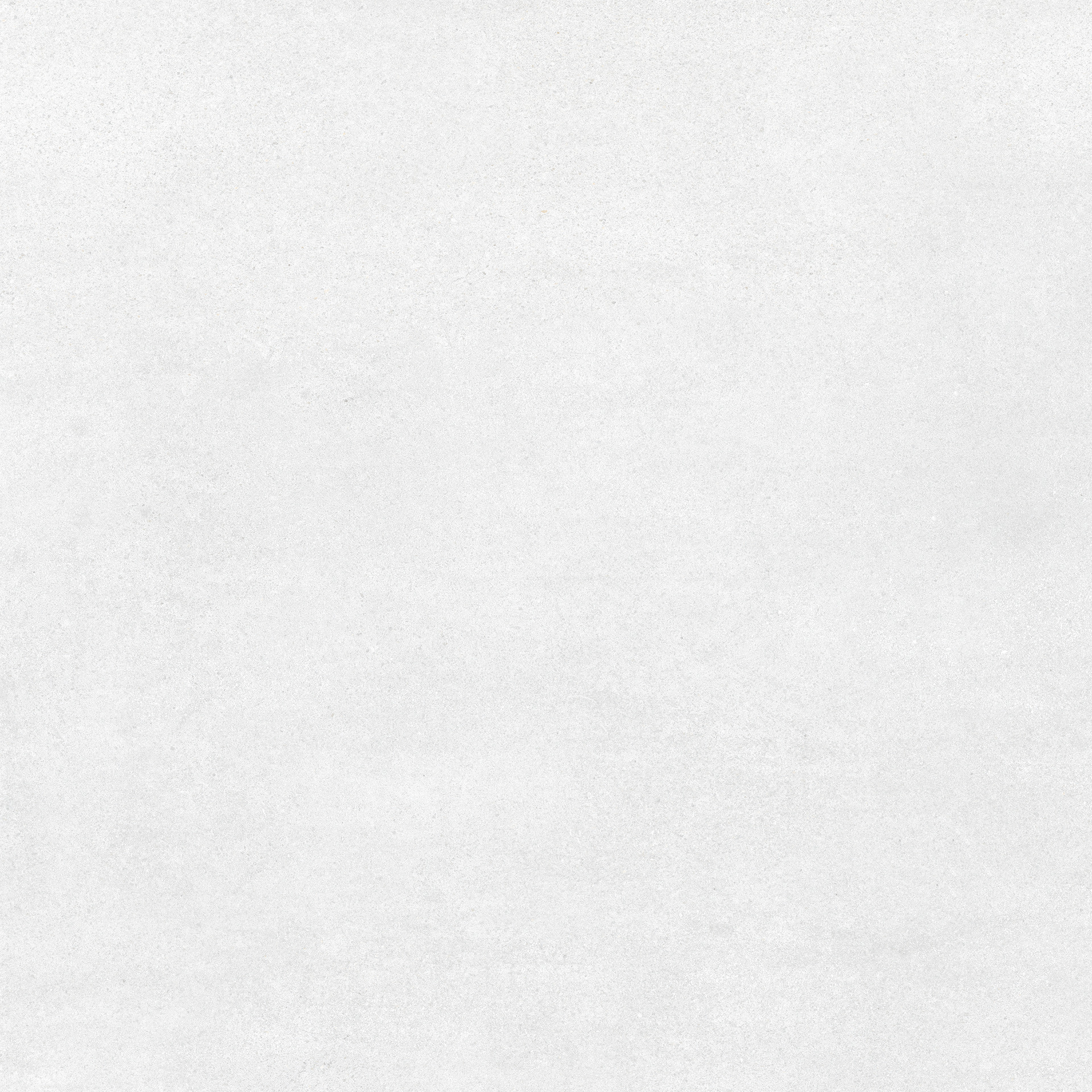 ragno quiet rdl0.jpg