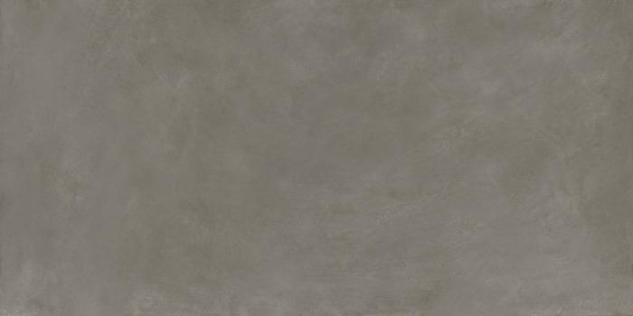 ragno re solution r61d.jpg