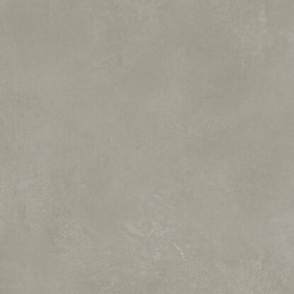 ragno re solution r61w.jpg