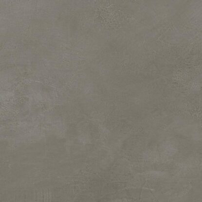 ragno re solution r61x.jpg