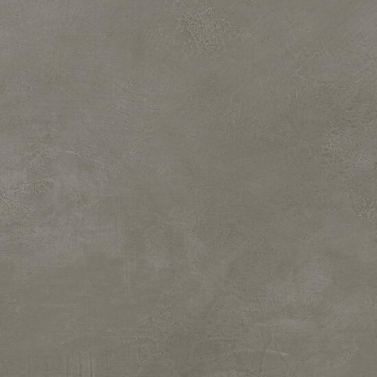 ragno re solution r61x.jpg