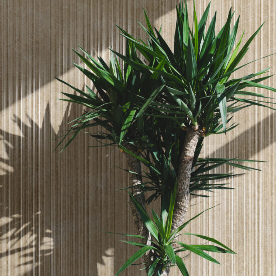 ragno realstone argent 019.jpg