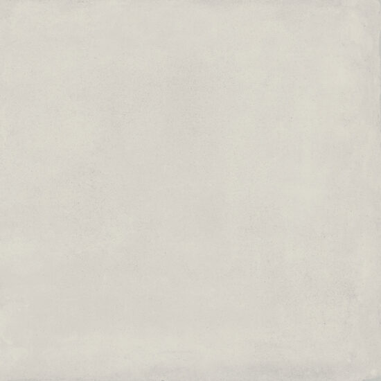 ragno replace r4nv.jpg