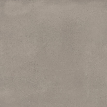 ragno replace r55m.jpg