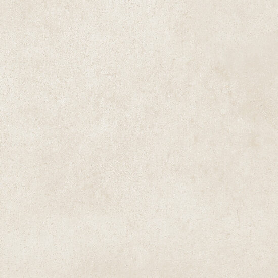 ragno replace r9cm.jpg