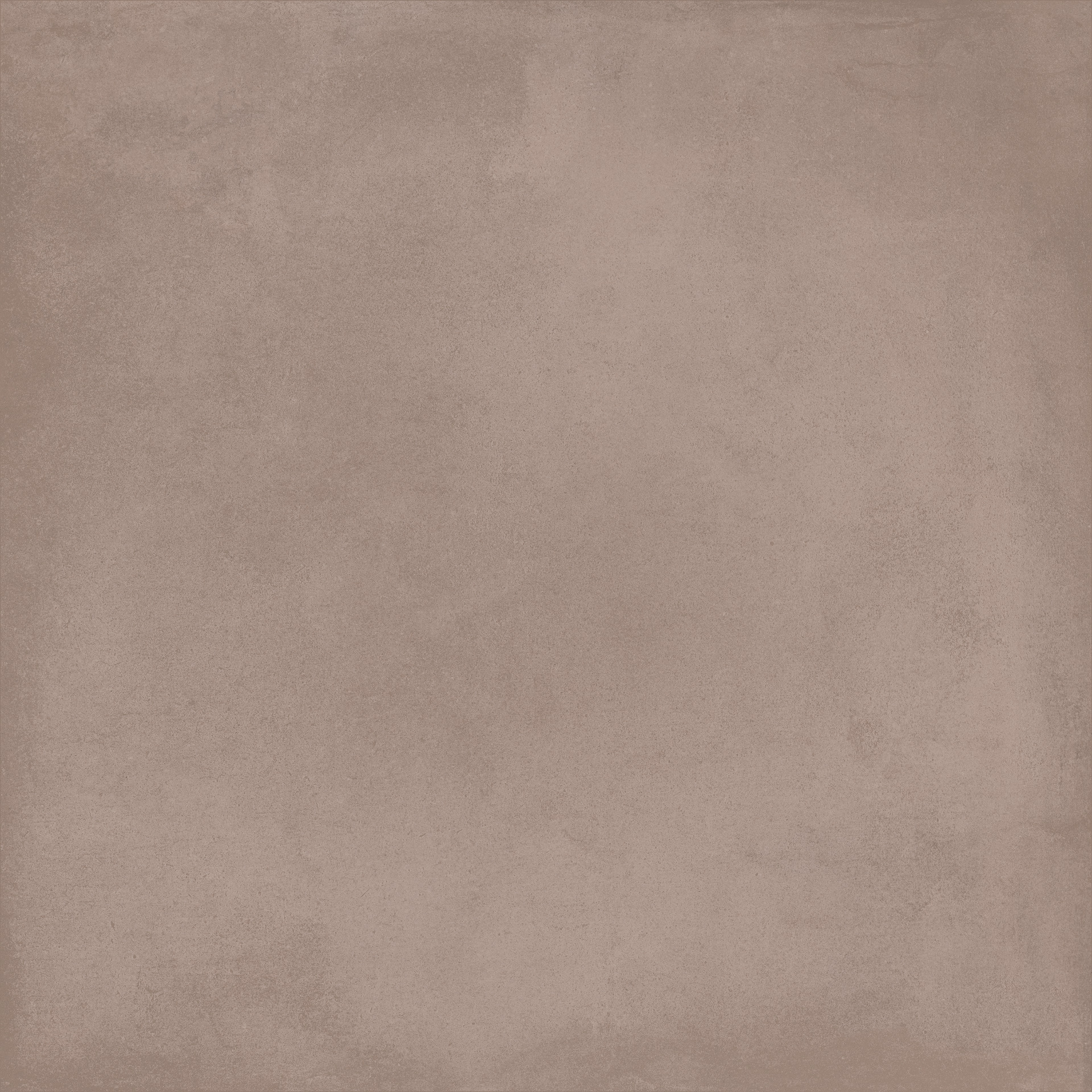 ragno rewind r4aw.jpg