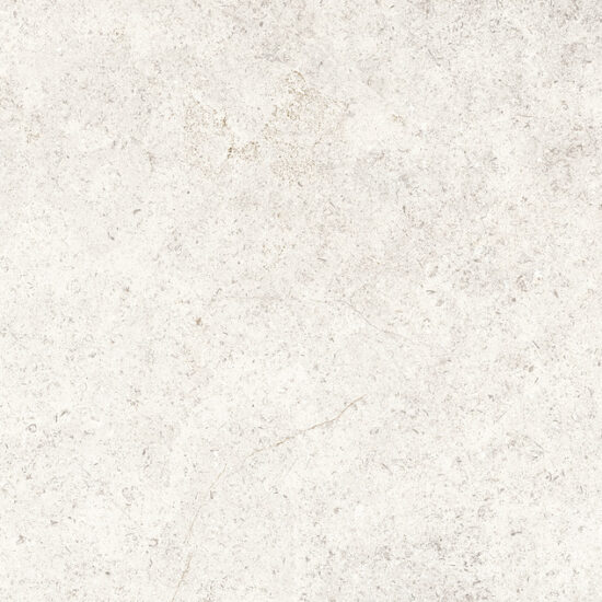 ragno richmond racu.jpg