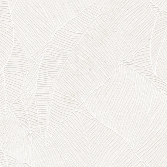 ragno richmond racy.jpg