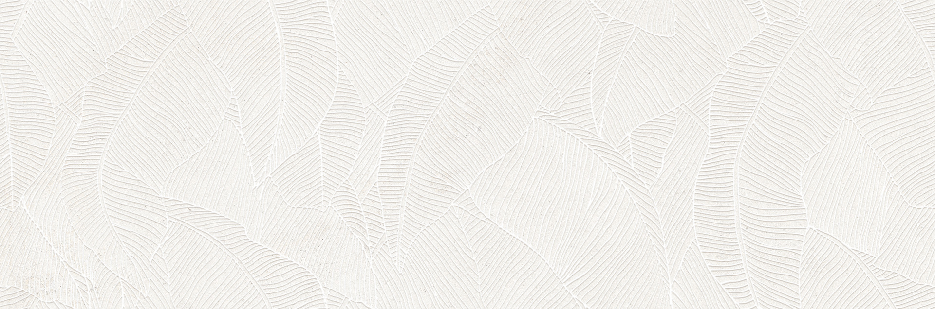 ragno richmond racy.jpg