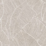 ragno richmond racz.jpg