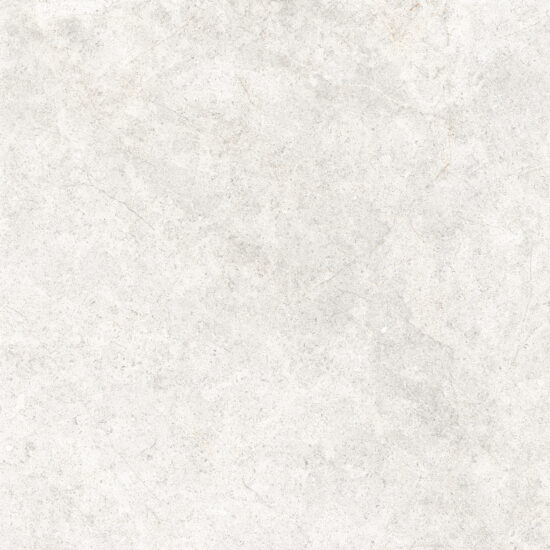 ragno richmond rce4.jpg