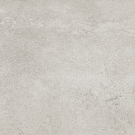 ragno roots r8j8.jpg