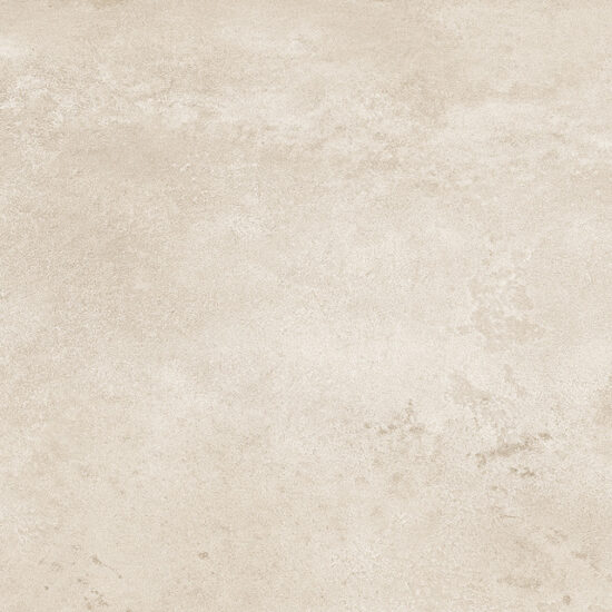 ragno roots r8j9.jpg