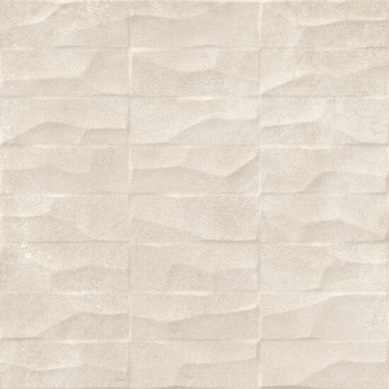 ragno roots r8jf.jpg