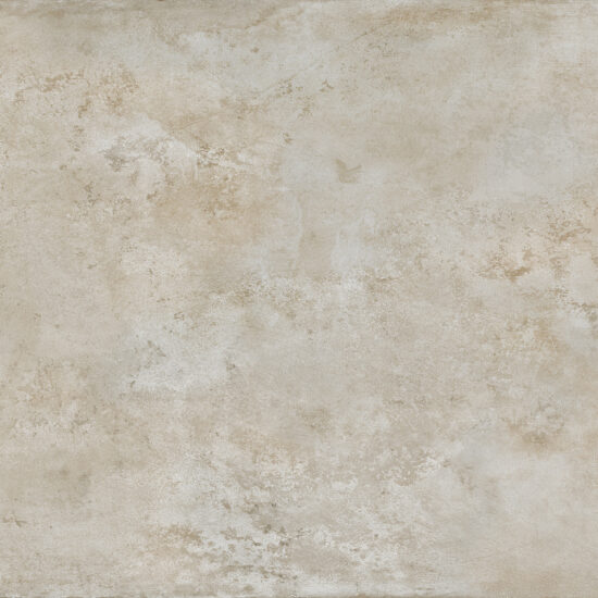 ragno roots r8lh.jpg