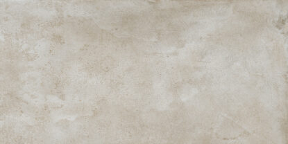 ragno roots r8lt.jpg