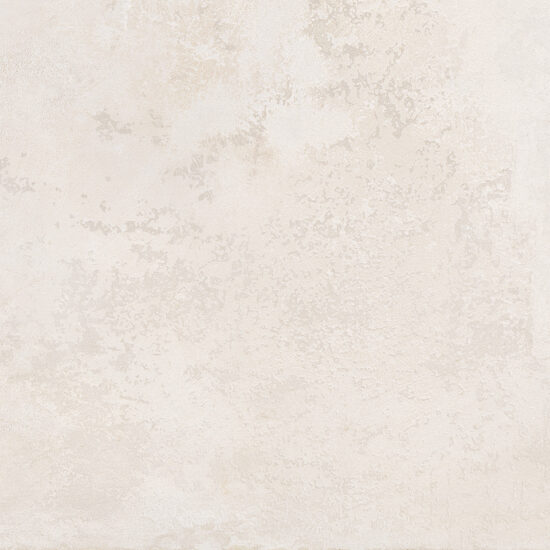 ragno roots r8mm.jpg