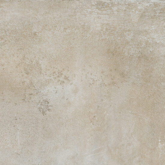 ragno roots r8mq.jpg