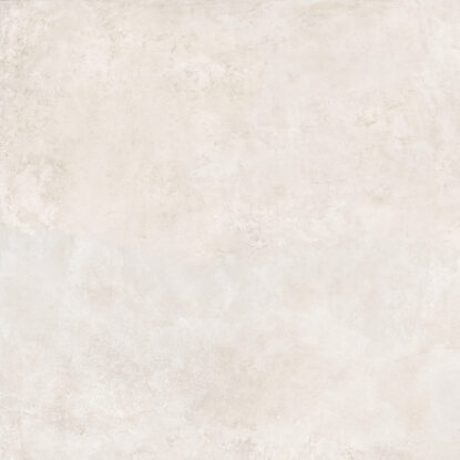 ragno roots ra84.jpg