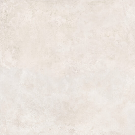 ragno roots ra84.jpg