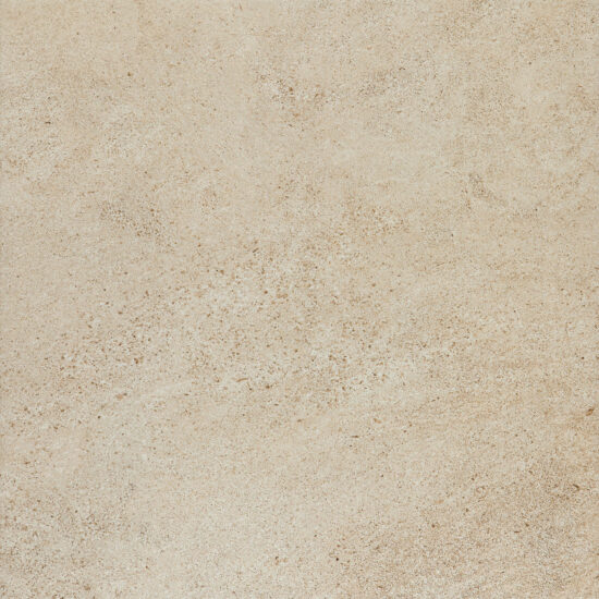 ragno season r3rq.jpg