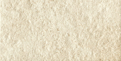 ragno season r46t.jpg