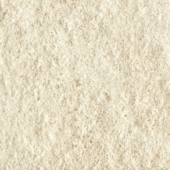 ragno season r46t.jpg