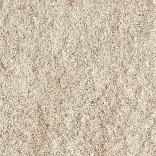 ragno season r46v.jpg