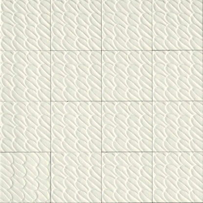 ragno sol r9qv.jpg
