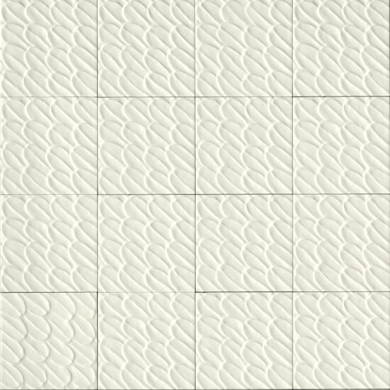 ragno sol r9qv.jpg