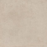 ragno solida rddp.jpg