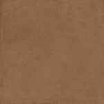 ragno solida rddu.jpg