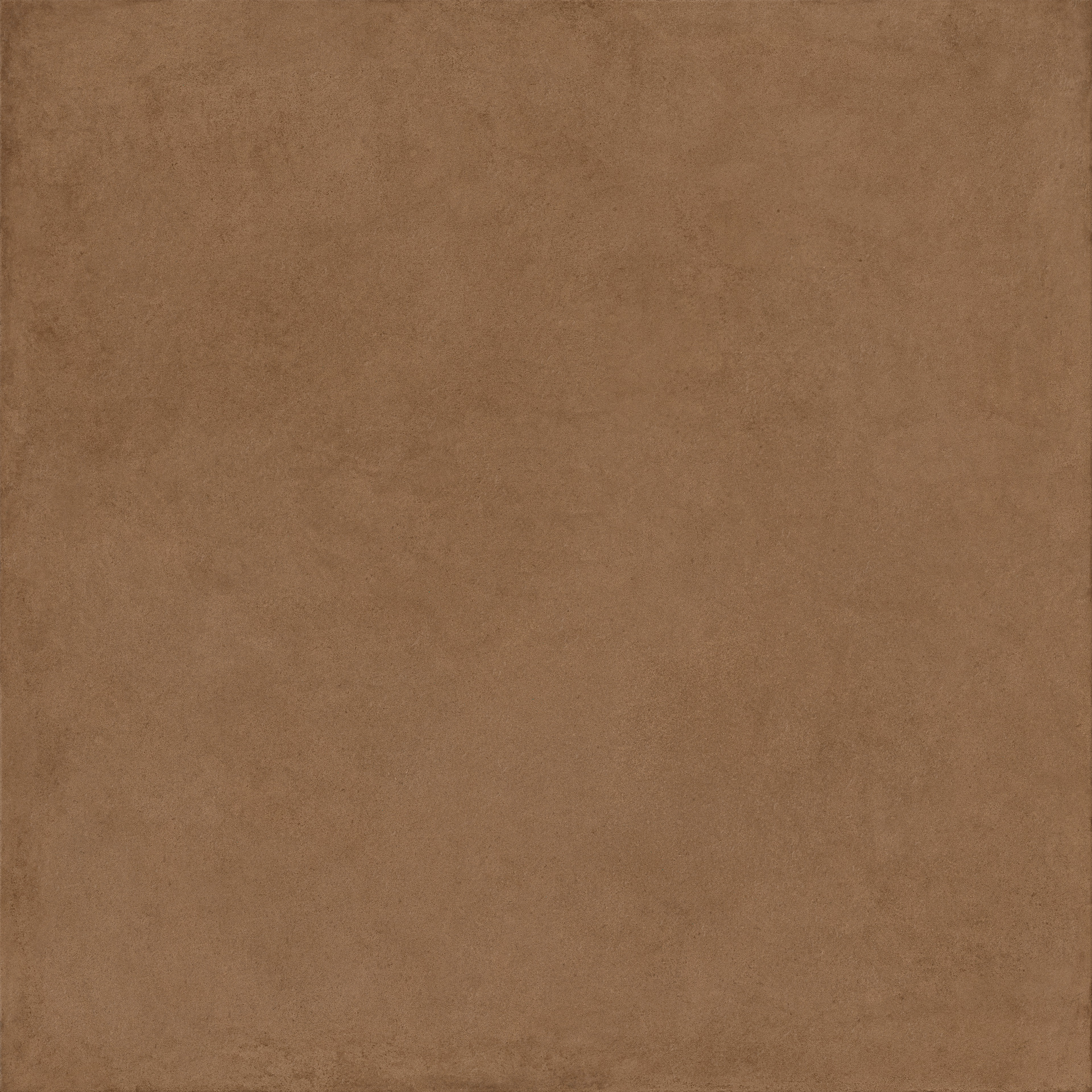 ragno solida rddu.jpg