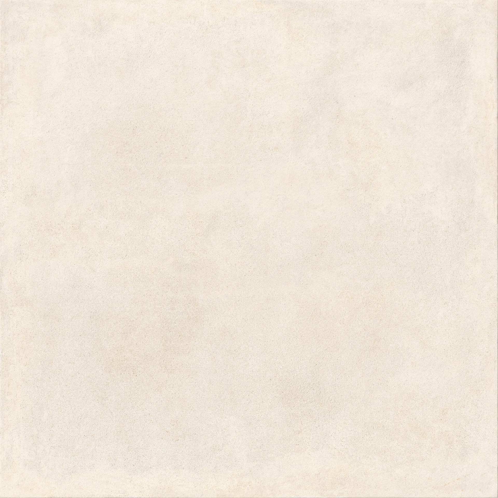 ragno solida rddx.jpg