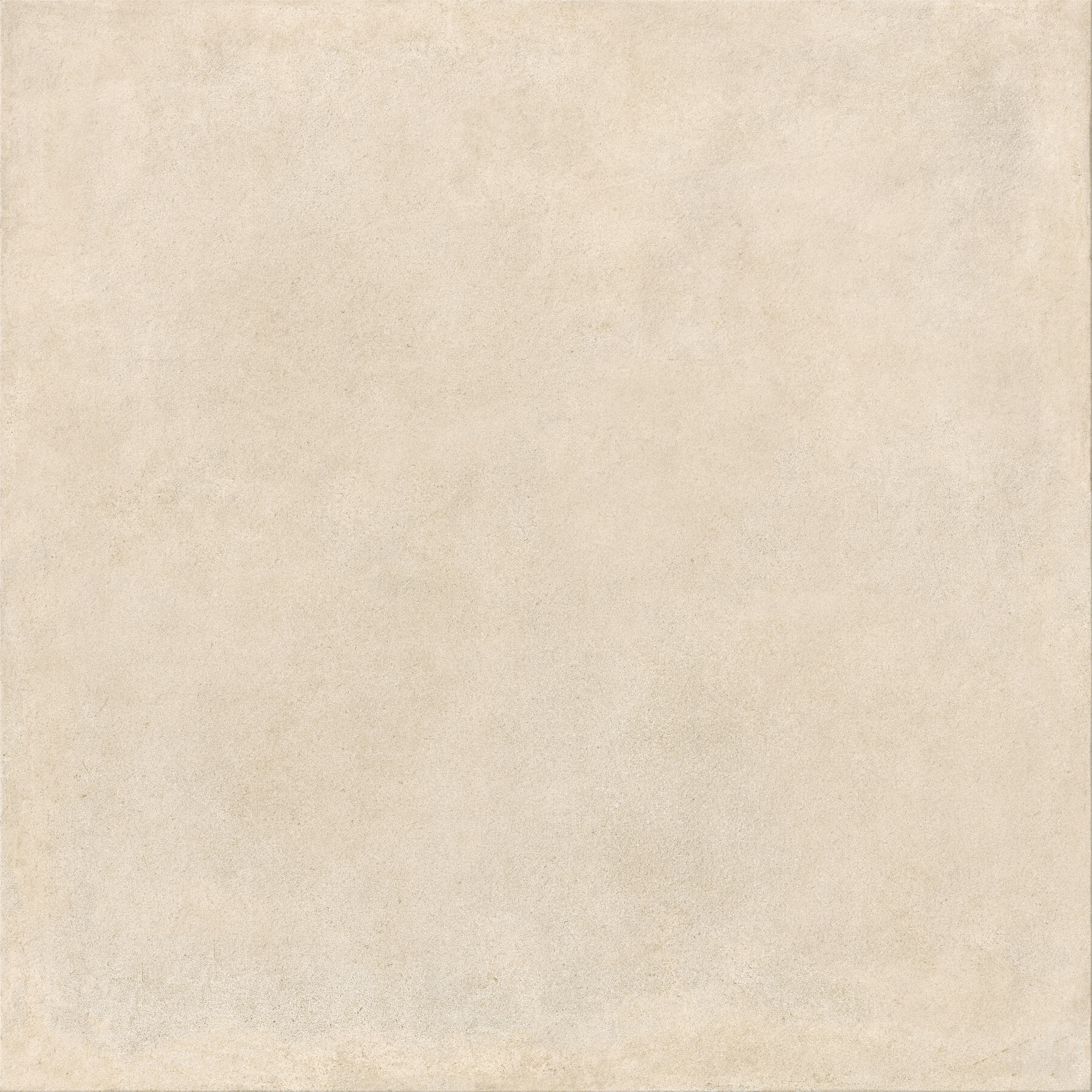 ragno solida rddy.jpg