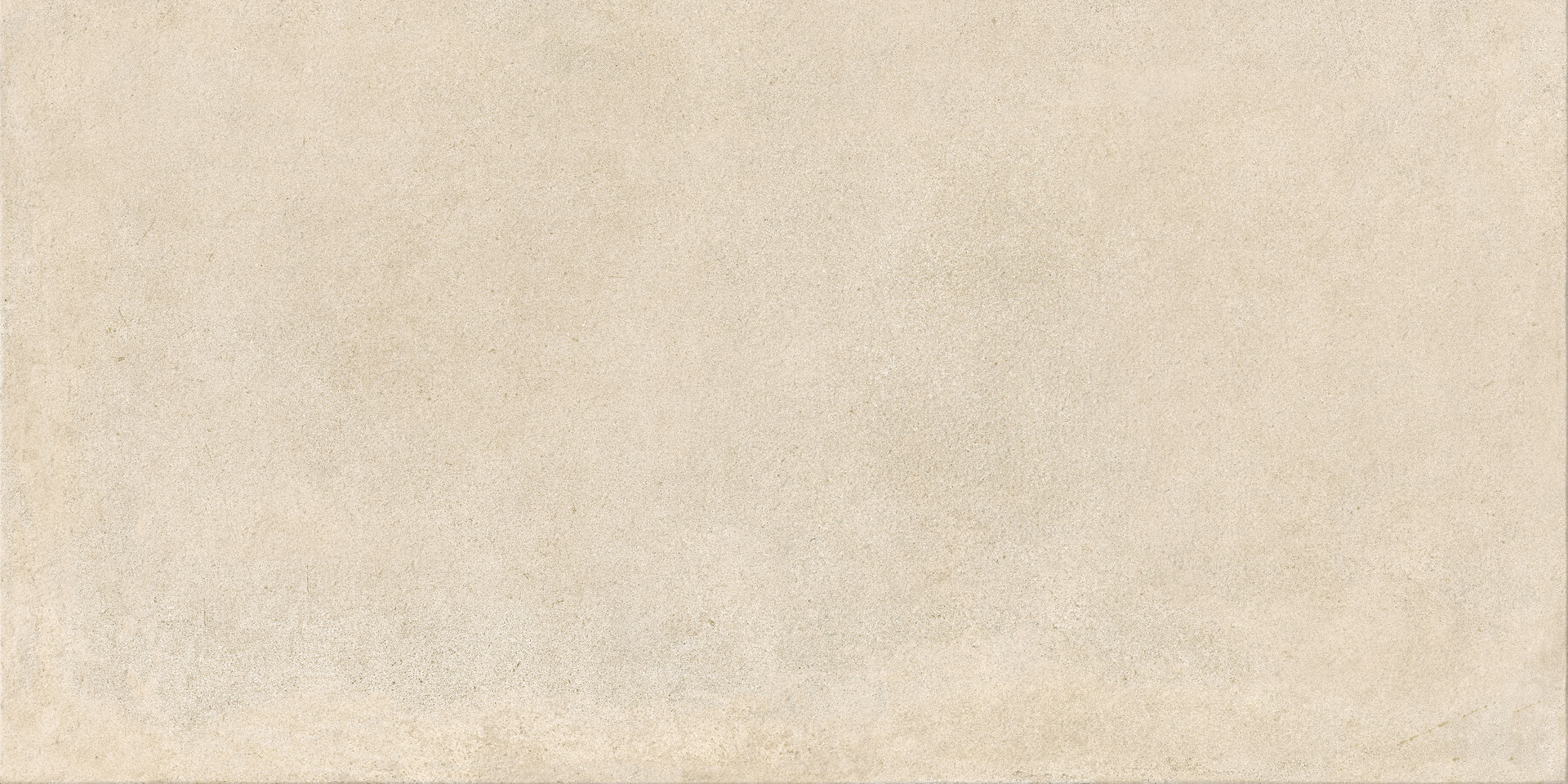 ragno solida rde2.jpg