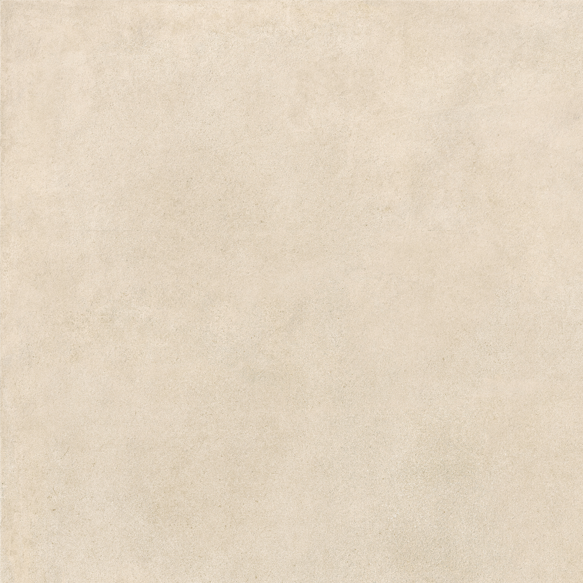 ragno solida rdes.jpg