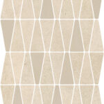 ragno solida rdjp.jpg