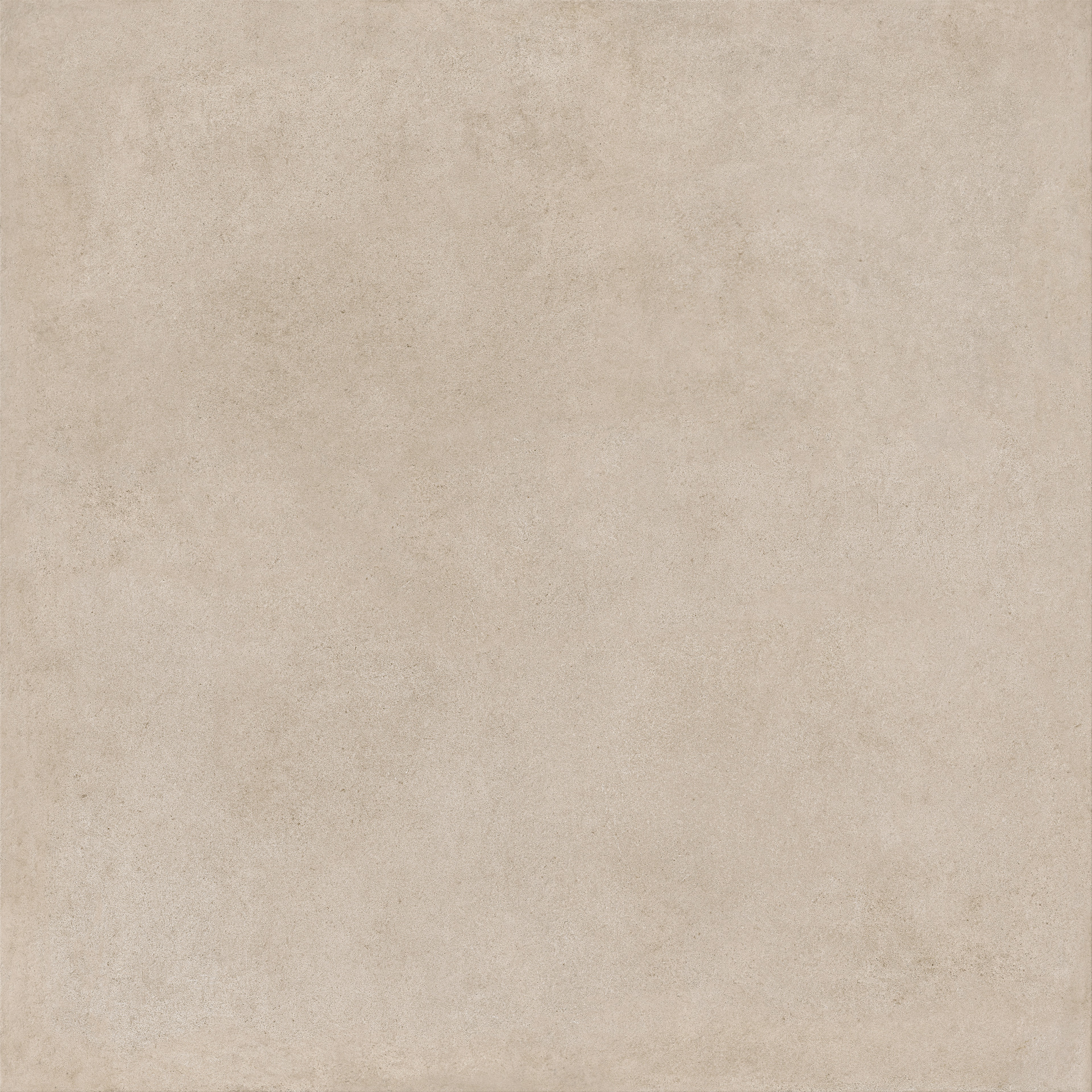 ragno solida rdmg.jpg