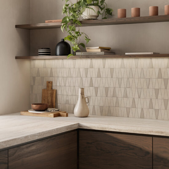 ragno solida 002.jpg