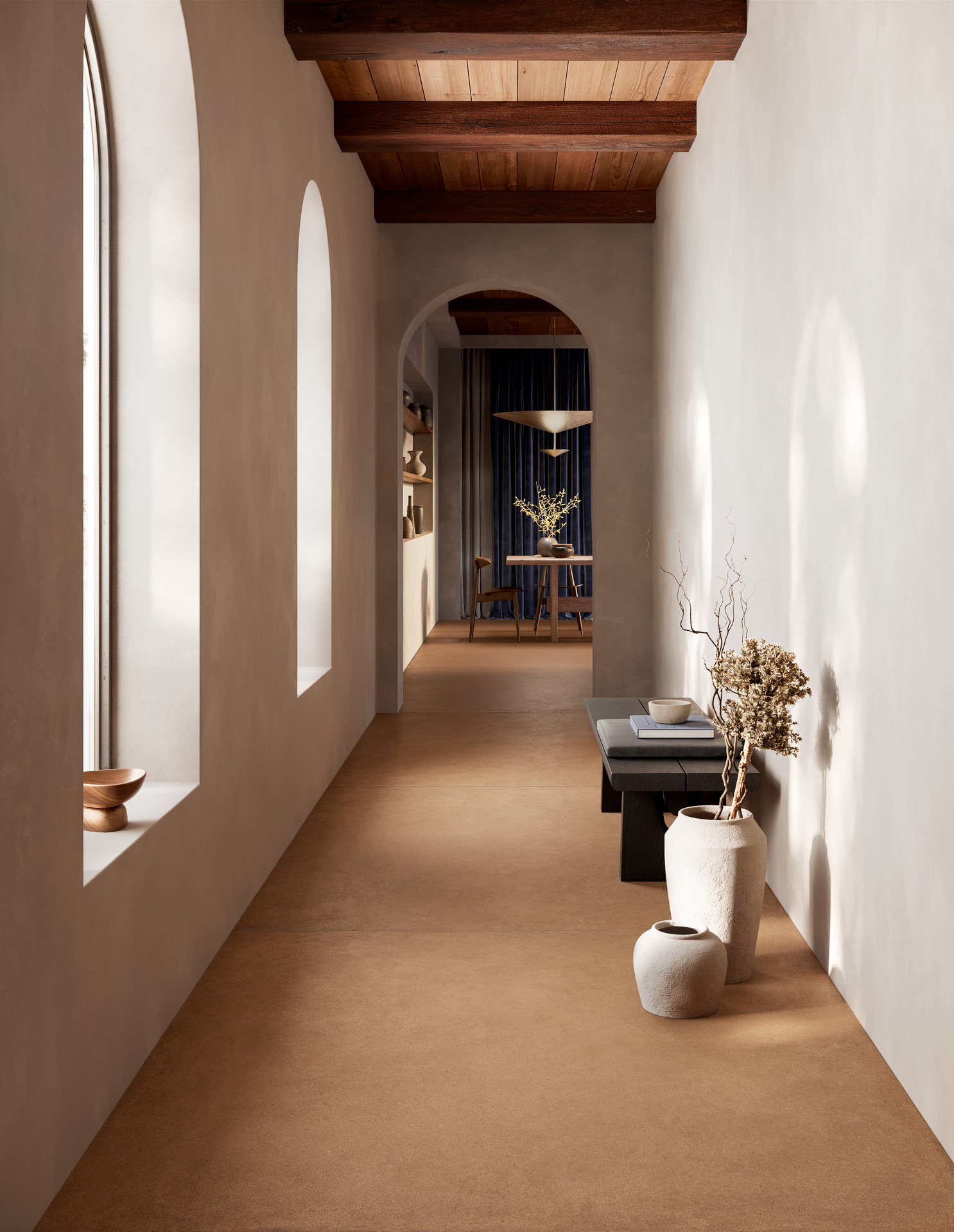 ragno solida 007.jpg