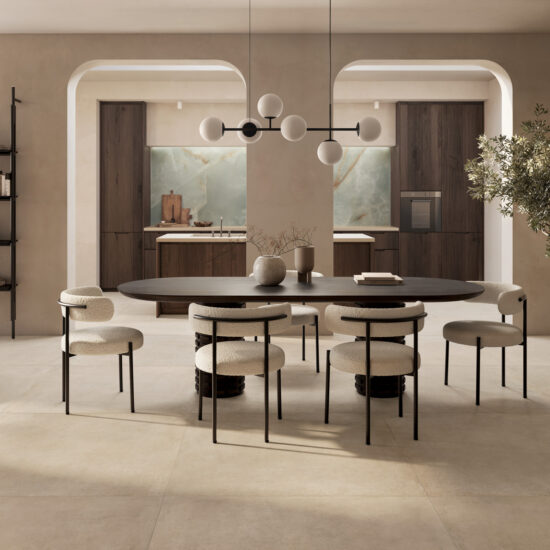 ragno solida 008.jpg