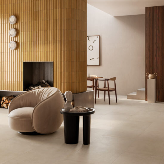 ragno solida 009.jpg