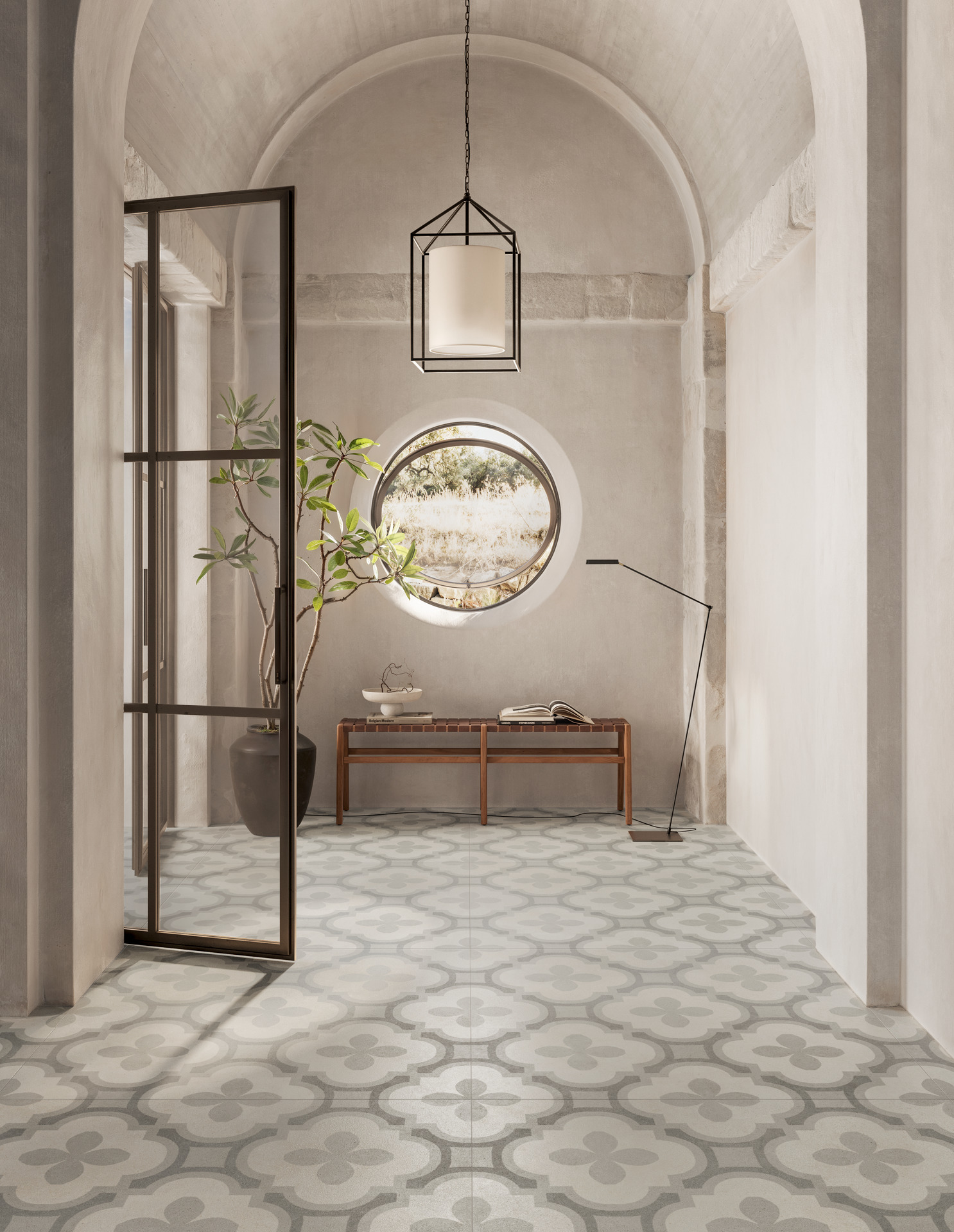 ragno solida 010.jpg