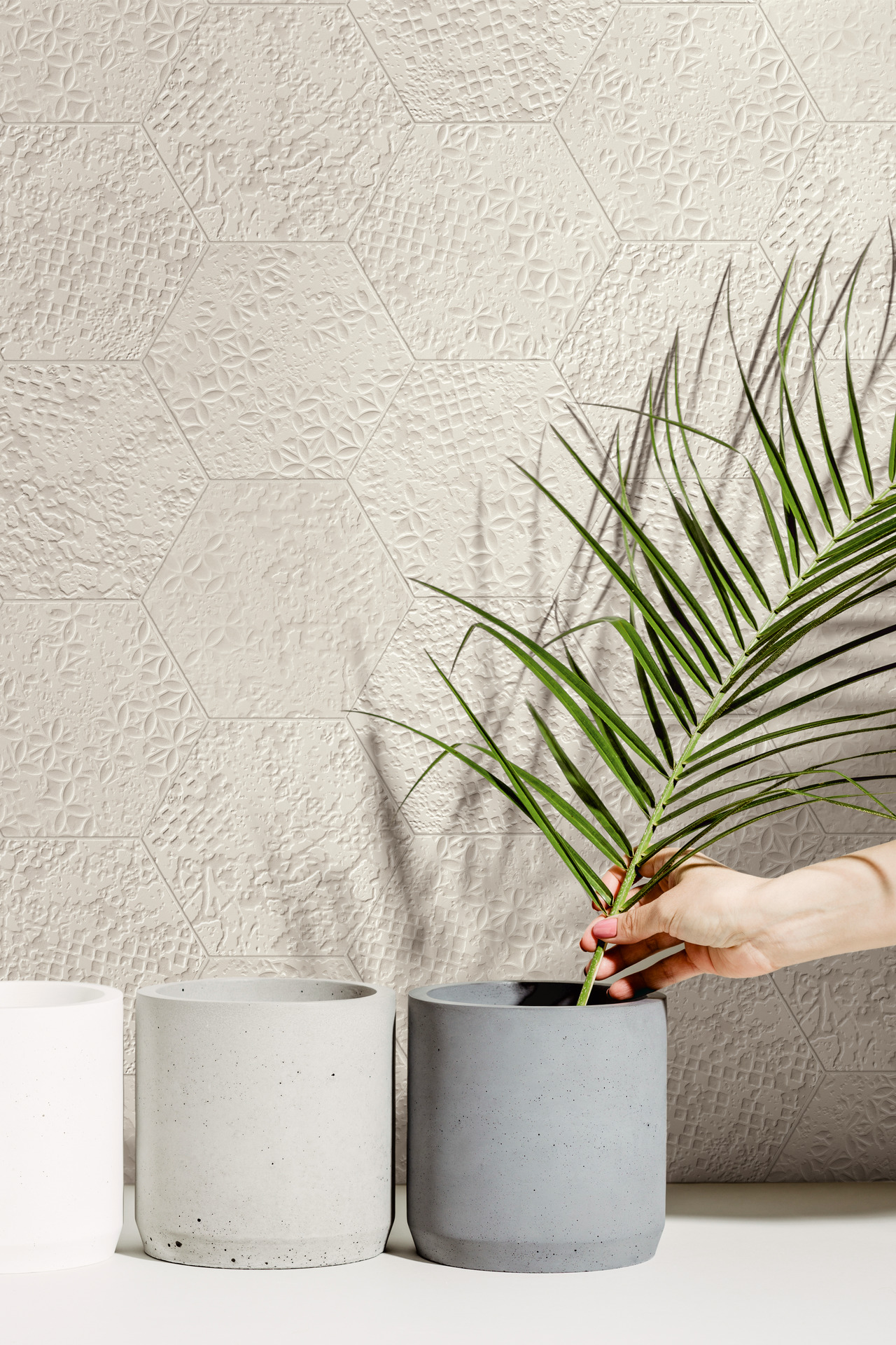 ragno stratford 004.jpg