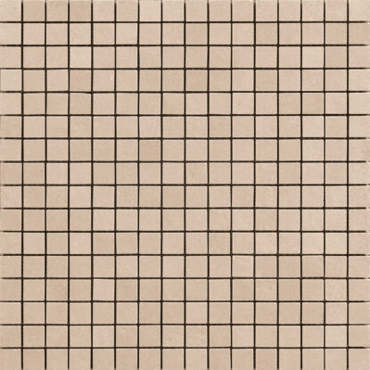 ragno terracruda r05l.jpg